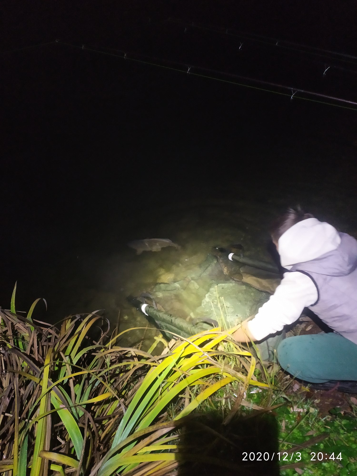 ISOLA DEL PESCATORE 3 decembrie 2020 - IMG20201203204428.jpg